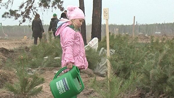 Добровольцы посадили 110 тысяч заговоренных деревьев в Подмосковье  