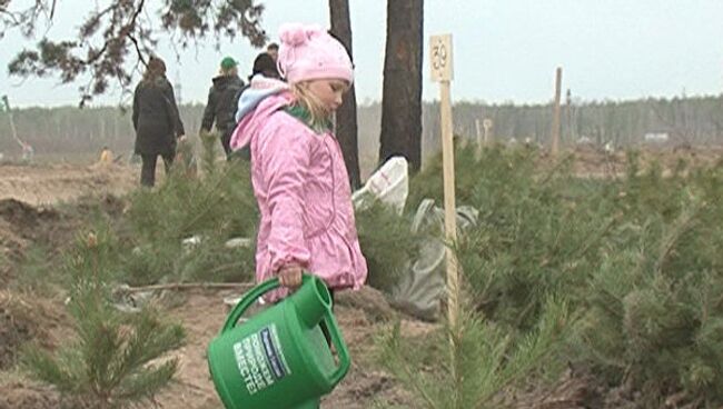 Добровольцы посадили 110 тысяч заговоренных деревьев в Подмосковье  