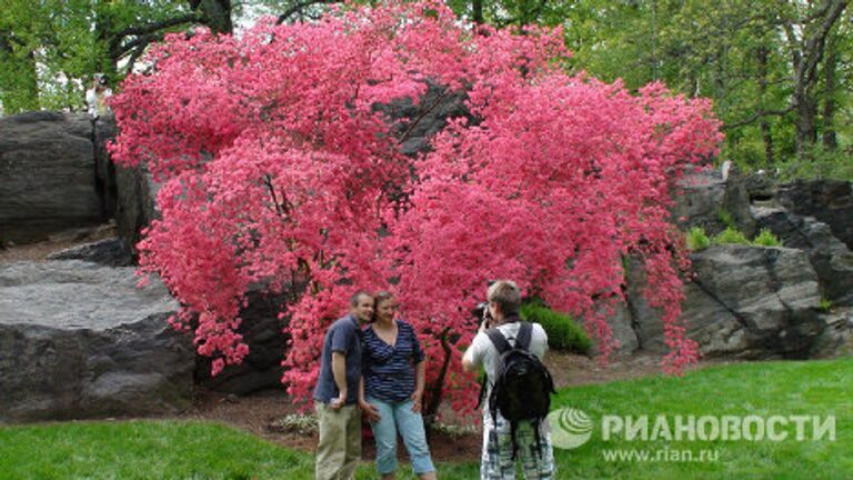 Нью-Йоркский ботанический сад отметил 120-летие пышным цветом