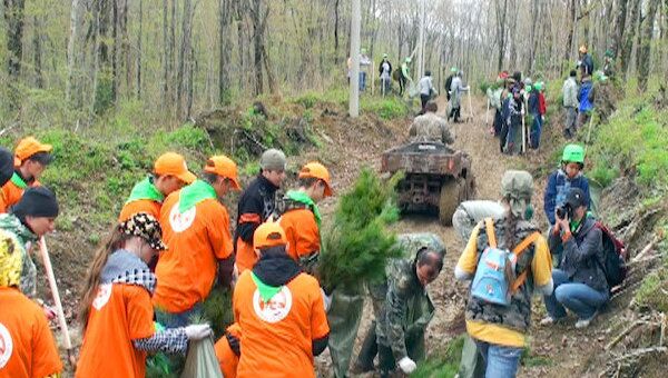 30 тысяч деревьев посадили добровольцы Приморья в День кедра