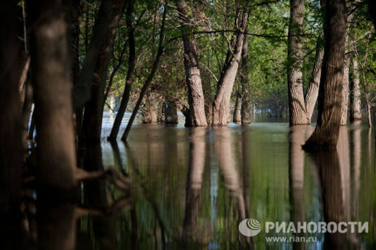 Половодье в районе Волгограда вызвал частичное подтопление береговой линии