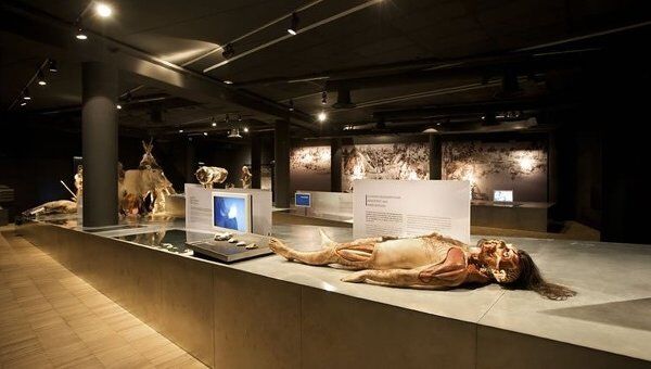 Экспозиция Галло-римского музея в Бельгии