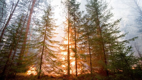 Лесные пожары в Якутии. Архив