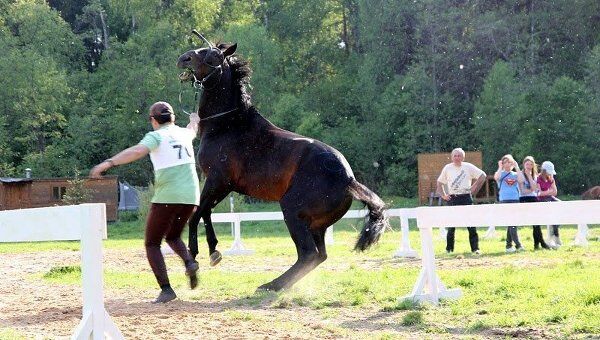 Международный конный турнир в Калужской области