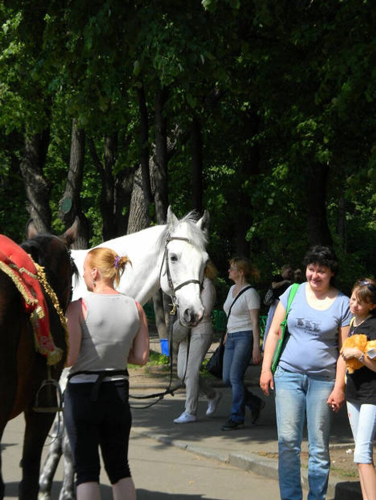 Праздник мороженого в Сокольниках 