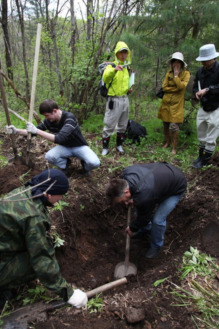 Поиск японских захоронений времен войны в Арсеньеве