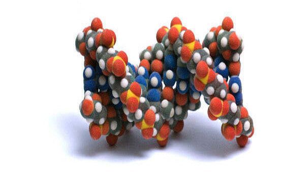 молекула ДНК (B форма)