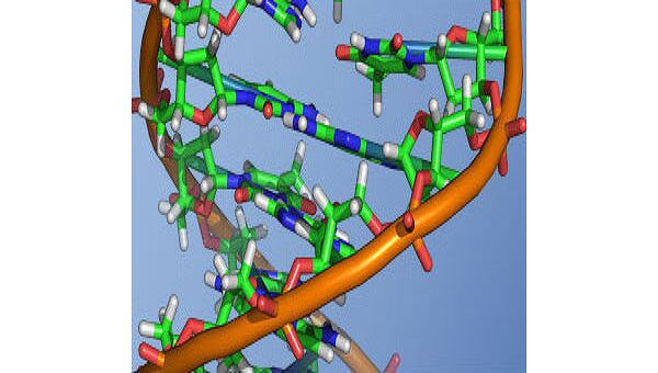 Ученые научились собирать трехмерные наноструктуры с помощью ДНК