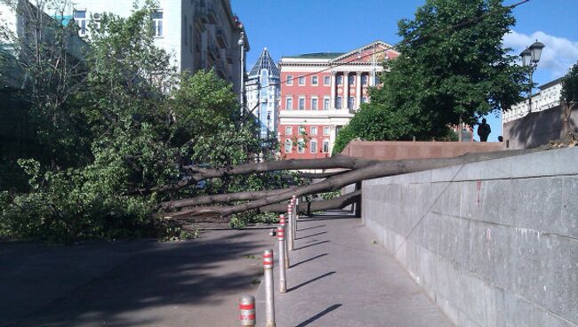 Упавшие деревья в Москве