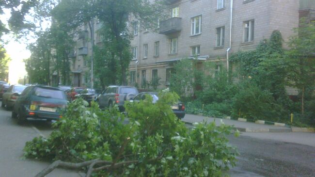 Дерево, упавшее на проезжую часть. Архивное фото