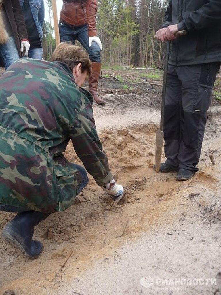 В Национальном парке Угра высадили саженцы дубов