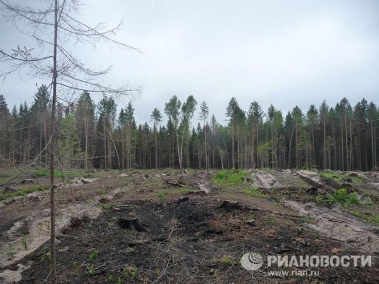 В Национальном парке Угра высадили саженцы дубов