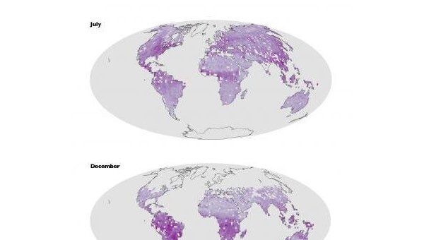Глобальная карта флуоресценции растительности