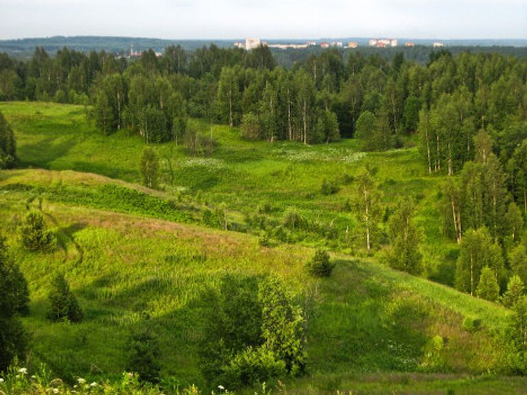 Псков с высоты птичьего полета 