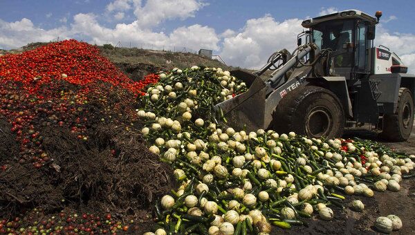Фермеры уничтожают урожай овощей, Испания