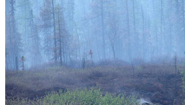 Природный пожар в заповеднике в ЯНАО