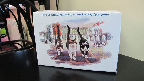 Республика кошек в Петербурге