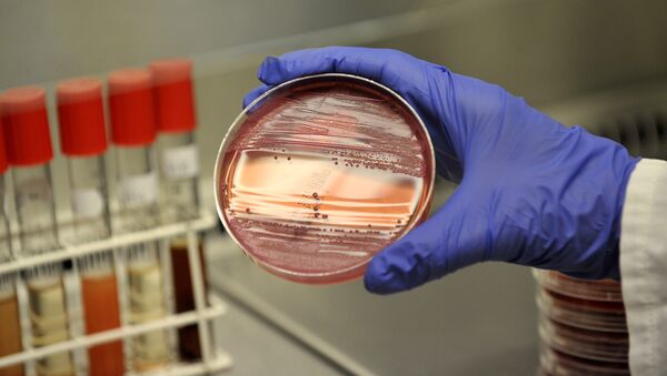 Бактерии кишечной инфекции. Архивное фото