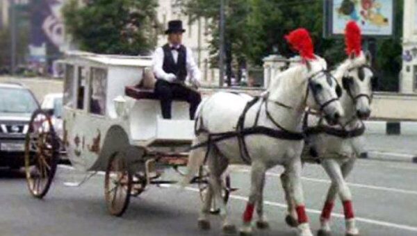 Карета, запряженная двойкой лошадей, появилась в центре Москвы 