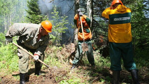 Работа пожарных у места лесного пожара в Красноярском крае