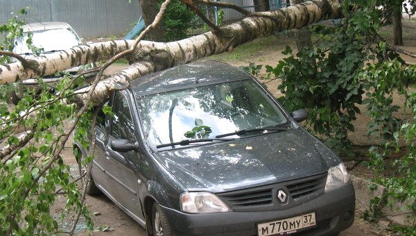 Ураган в Иваново разбил машины и повалил деревья