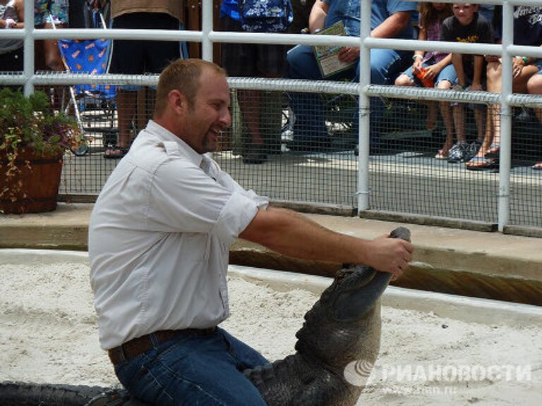 Gatorland 