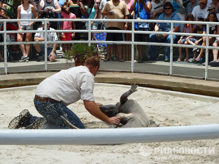 Gatorland