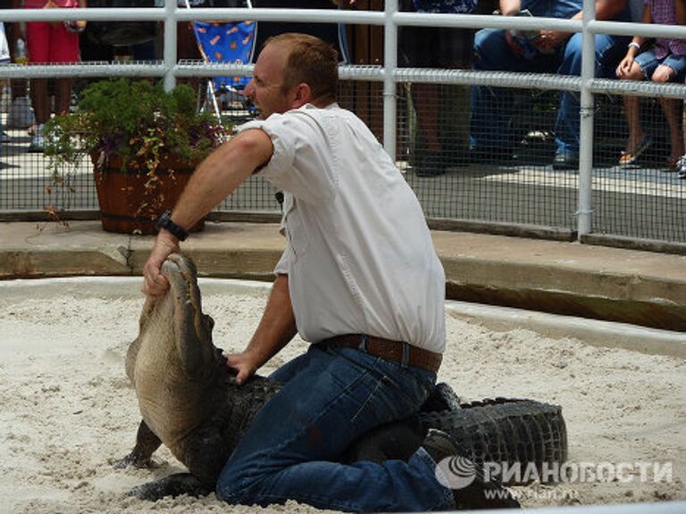 Gatorland