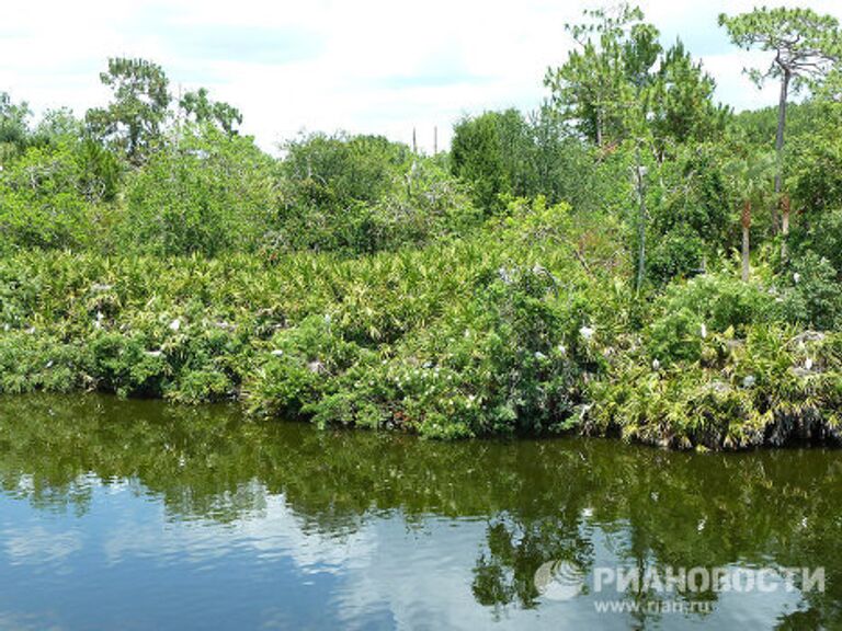 Gatorland 