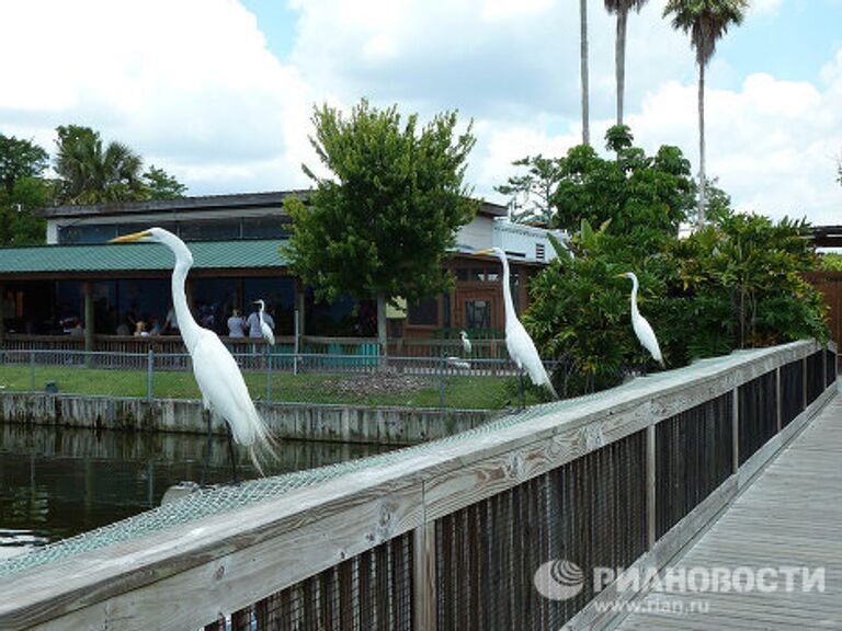 Gatorland