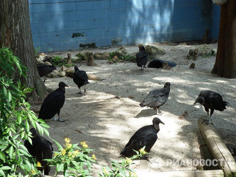 Gatorland