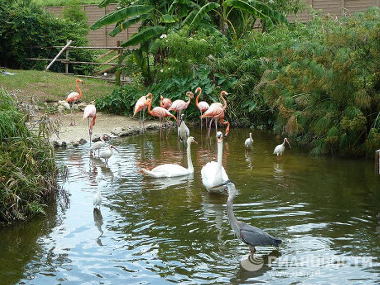 Gatorland