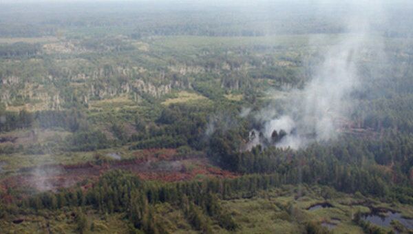 Гринпис заявил, что число горящих торфяников в европейской части России увеличилось