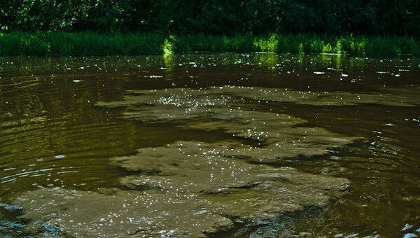 Активисты Greenpeace провели экологический рейд по реке Охте
