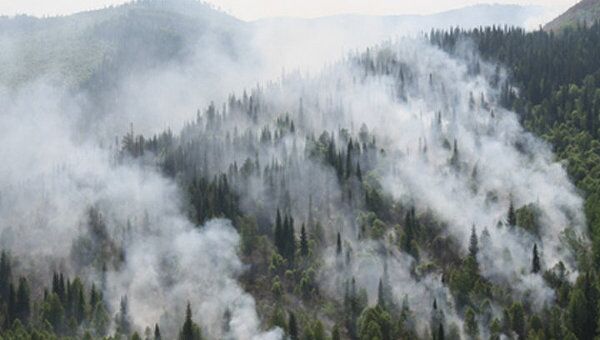 Площадь лесных пожаров в Сибири приблизилась к 2 тыс гектаров