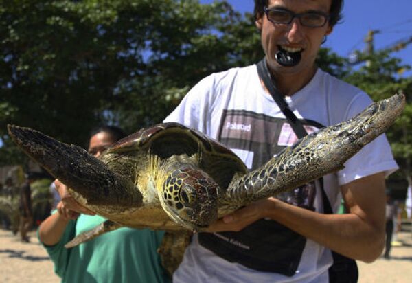 Черепаха в руках иностранного туриста на острове Бали