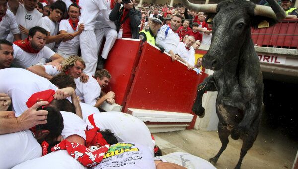 Праздничные бега быков закончились в Испании, пострадали 42 человека