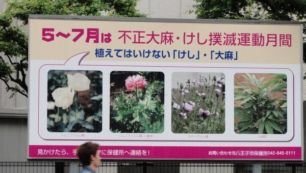 Законопослушный японский менталитет против новых видов наркотиков?
