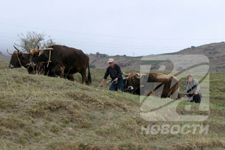 РИА Новости. Фото Владимира Федоренко