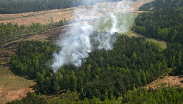 Высокий класс пожарной опасности присвоен подмосковным лесам