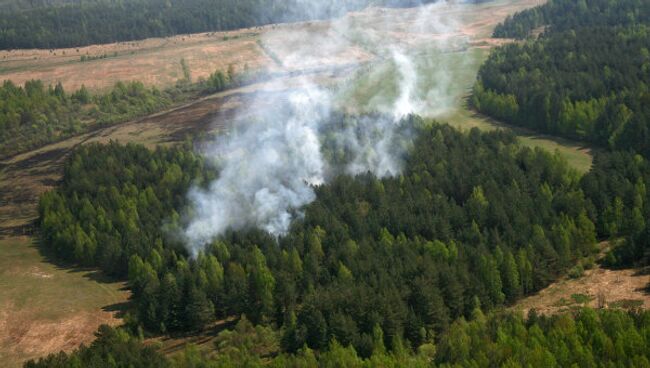 Высокий класс пожарной опасности присвоен подмосковным лесам