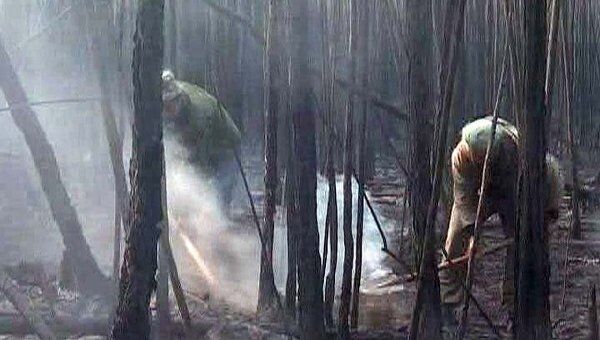 Сотни добровольцев помогают тушить лесные пожары в Якутии