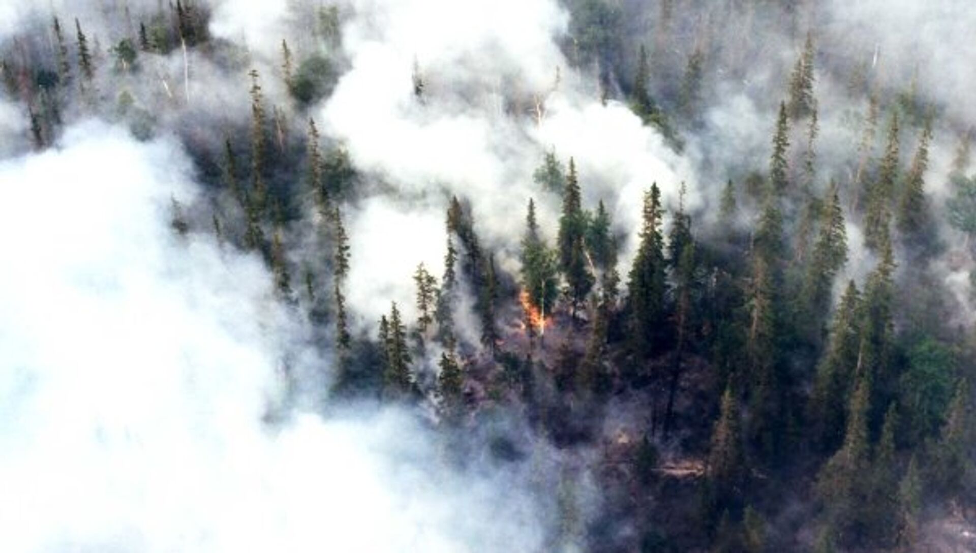 Загрязнение воздуха пожары. Лесные пожары загрязнение атмосферы. Пожар в лесу зимой. Пожар в тайге. Лесной пожар сверху.