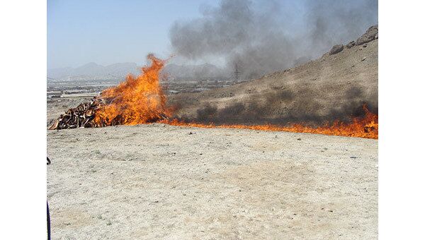 Афганские наркополицейские сожгли на костре тонну наркотиков в провинции Баглан