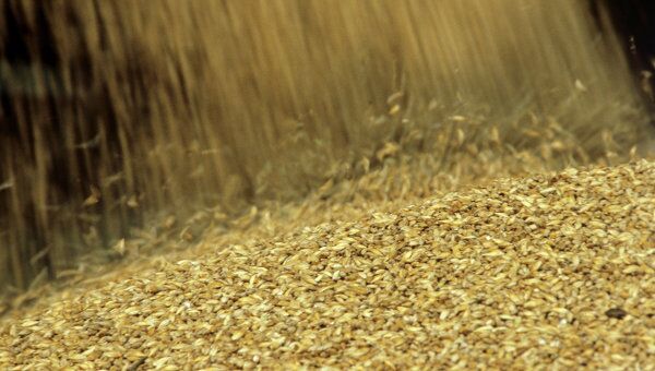 Зубков: РФ к концу ноября экспортировала 15,2 млн тонн зерна