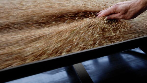 МЭР ожидает урожай зерна в РФ в этом году не более 73-75 млн тонн