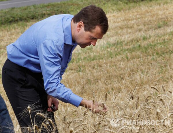 Посещение Дмитрием Медведевым фермерского хозяйства Центральное