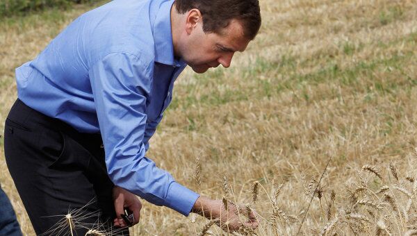 Посещение Дмитрием Медведевым фермерского хозяйства Центральное. Архивное фото