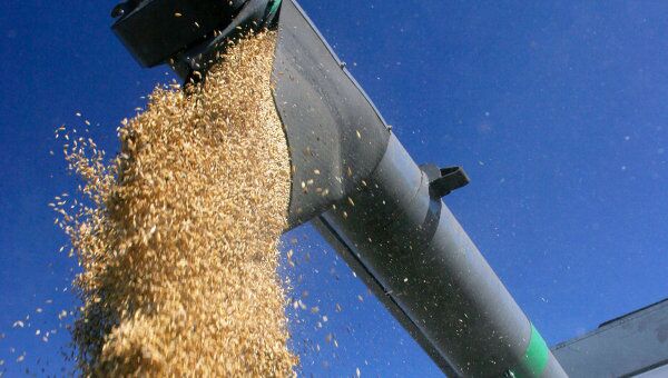 Уборка зерновых. Архивное фото