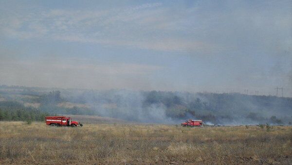 Лесной пожар в Волгоградской области